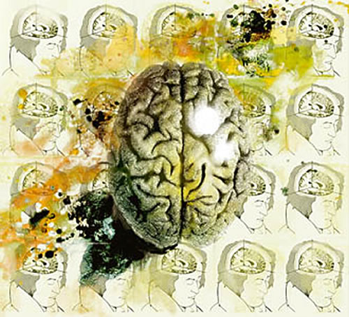 The Human Brain: Modelling and Remodelling International Conference