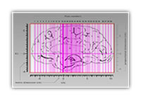 Placement of the 69 sections depicted in the atlas